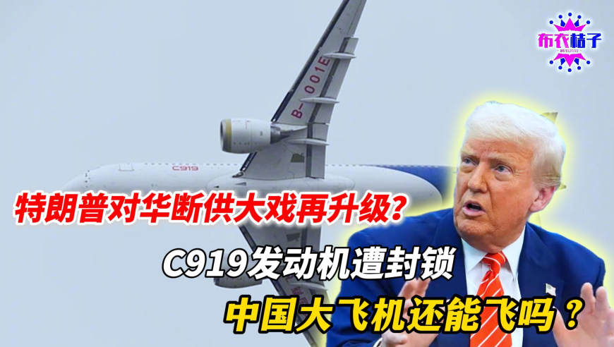 千禾0是商标在侮辱谁,2025澳门彩免费资料大公开,创造力策略实施推广_测试版V14.15