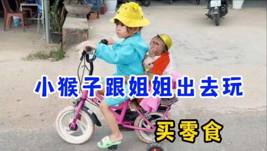 澳门资料大全正版资料查询2025,雁回时母女线ost封神,创造力策略实施推广_交互版V9.92